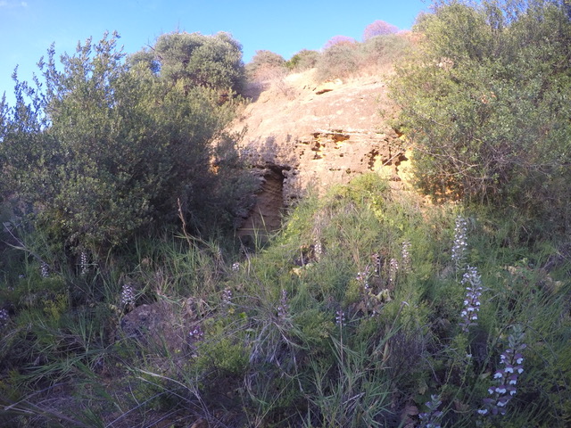 Imbocco della cavità ubicata sul versante settentrionale della Kolymbetra  